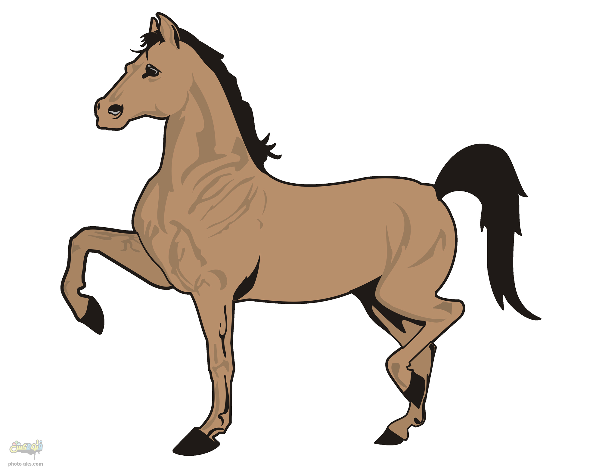 1529989884cartoon-horse.jpg